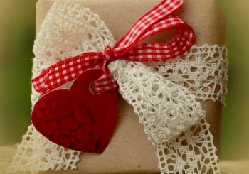 Poděkování Vladimíře Hanusové